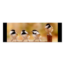 Four Chickadees Business Card
