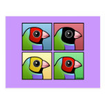 Four Color Gouldian Finch Post Cards