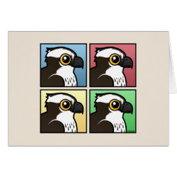 Four Color Osprey Greeting Card