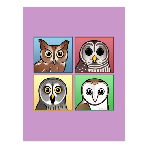 Four Color Owls (pastel) Post Cards