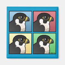 Four Color Peregrine Magnets