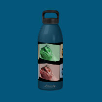 Four Color Pop Art Fish water bottles