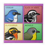 Four Color Warblers Tile