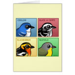 Four Color Warblers Note Card
