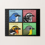 Four Color Warblers Puzzle