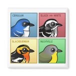 Four Color Warblers Square Magnet
