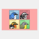 Four Color Warblers Rectangle Stickers