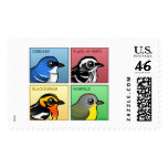 Four Color Warblers Stamp