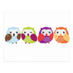 Four Colorful Owls Post Card