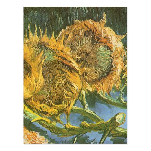 Four Cut Sunflowers By Vincent Van Gogh, Fine Art Postcard 