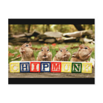 four cute chipmunks postcards