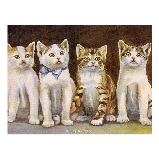 "Four Cute Kittens" Vintage Post Card