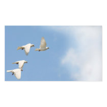 Four flying doves business cards