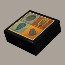 Four Fossil Trilobites Dark gift boxes