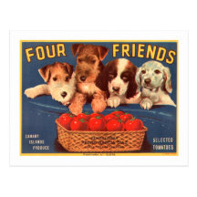 Four Friends Vintage Tomato Crate Label Postcards