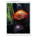 Four Fruits: Orange, Banana, Plum, Lychee cards