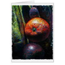 Four Fruits: Orange, Banana, Plum, Lychee cards