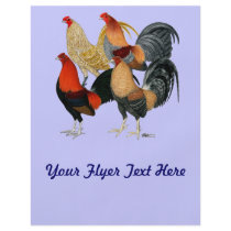 Four Game Cocks Flyer