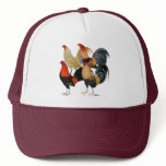 Four Game Cocks hats