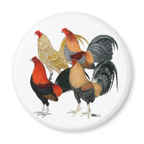 Four Game Cocks Refrigerator Magnets