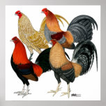 Four Game Cocks posters