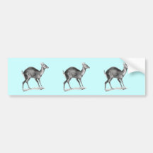 Four-Horned Antelope Bumper Stickers