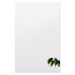 Four Jalapeno Peppers Green Photograph Stationery