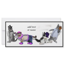 Four Kittens At Play Full Color Rack Card