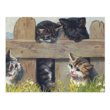 "Four Kittens Playing" Vintage Postcards