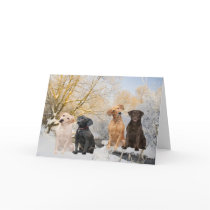Four Labs in winter scene cards by friskybiz Four Labs in winter scene cards