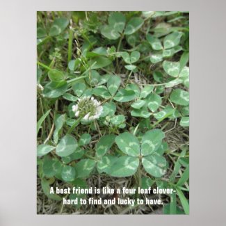 4 Leaf Clover Poster by S.Lynnette