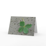 Four Leaf Clover - Lucky Charm Cards