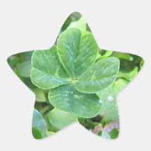FOUR LEAF CLOVER STAR STICKERS
