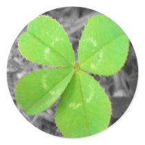 Four Leaf Clover Sticker- Black and White, Color