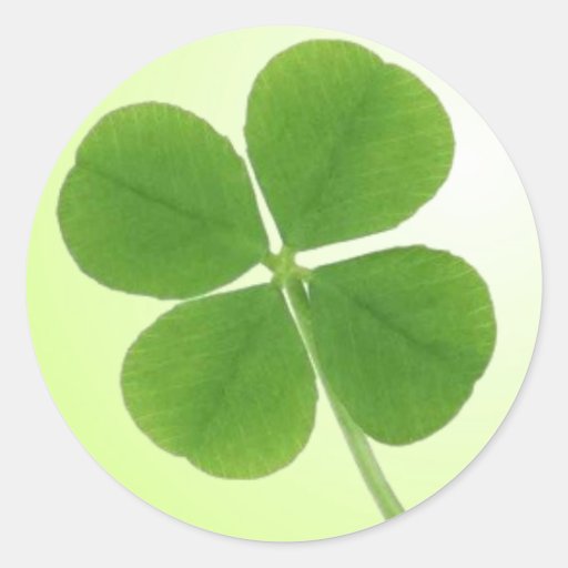 four leaf clover stickers Zazzle
