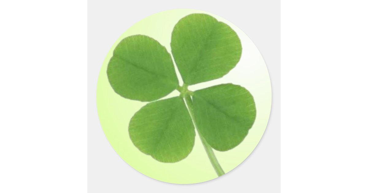 four leaf clover stickers Zazzle