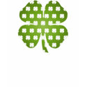 Four Leaf Luck t-shirts by Fudgebugladybug Four Leaf Luck t-shirts