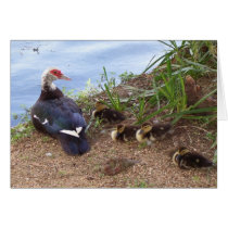 Four lil' ducklings cards by bryonyrowe Four lil' ducklings cards