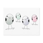 Four Little Birds Four Little Birds