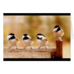 Four little chickadees card