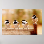 four little chickadees posters