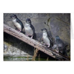Four Little Penguins Card
