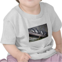 Four Little Penguins Shirts