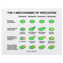Four Mechanisms Of Speciation (Evolution) Full Color Flyer