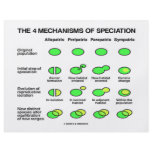 Four Mechanisms Of Speciation (Evolution) Full Color Flyer