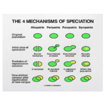 Four Mechanisms Of Speciation (Evolution) Letterhead Template