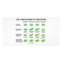 Four Mechanisms Of Speciation (Evolution) photo cards