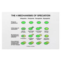 Four Mechanisms Of Speciation (Evolution) stationery by wordsunwords Four Mechanisms Of Speciation (Evolution) stationery