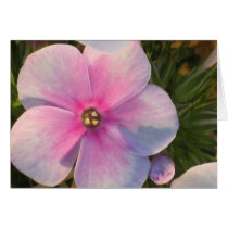Four O'Clock Flower Card