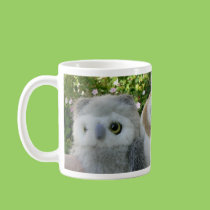 Four O'Clock Owls mugs